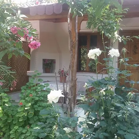 Aparthotel Mono *