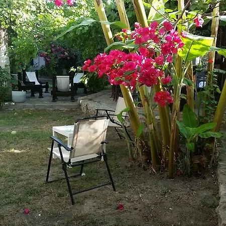 Aparthotel Mono